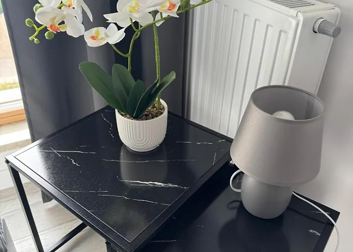 Rooftop Blue Porto Daire Gdansk